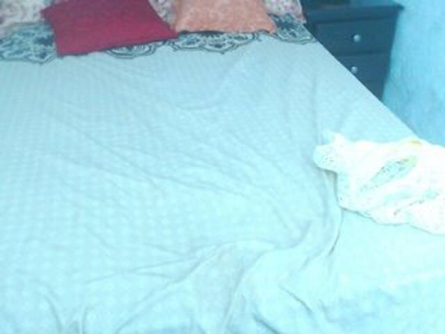 Transliacijos ekrano nuotraukos karometrio