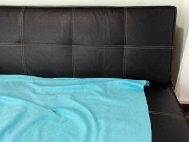 Transliacijos ekrano nuotraukos KASEYJACKSON