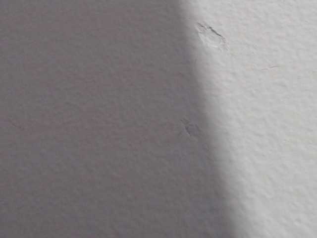 Transliacijos ekrano nuotraukos Katithompson