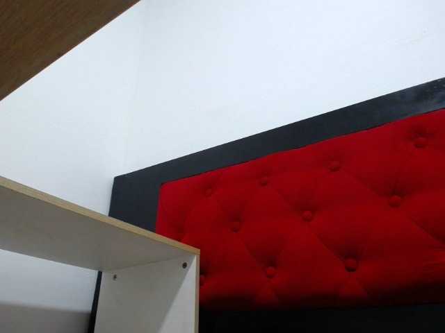 Transliacijos ekrano nuotraukos klart-cat