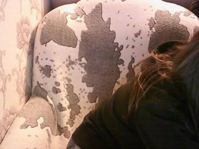 Transliacijos ekrano nuotraukos KOBRA-X