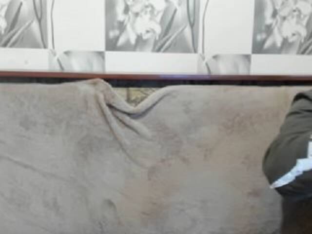 Transliacijos ekrano nuotraukos sexyit09