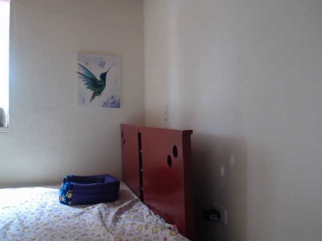 Transliacijos ekrano nuotraukos LillyBrooks