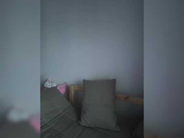 Transliacijos ekrano nuotraukos linaalisa