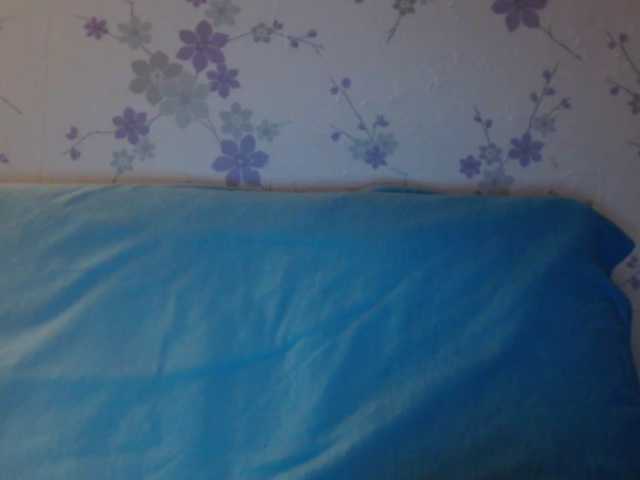 Transliacijos ekrano nuotraukos littledevi