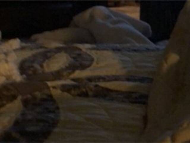 Transliacijos ekrano nuotraukos Littleshorty