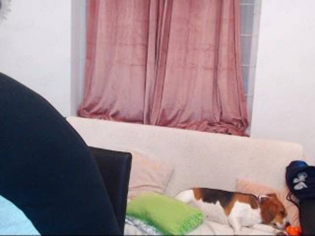 Transliacijos ekrano nuotraukos MaxGACouple