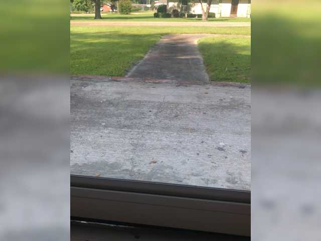 Transliacijos ekrano nuotraukos Meganslut