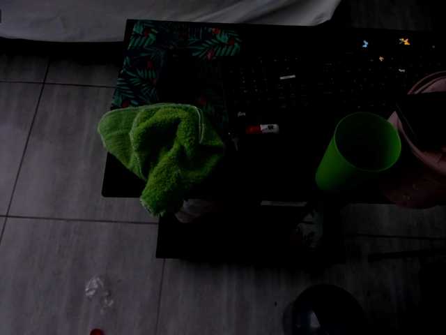 Transliacijos ekrano nuotraukos MichellSkinny