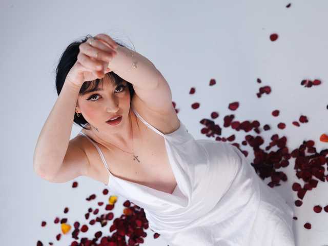 Profilio nuotrauka Midnight_Eva_Mi