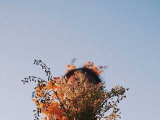 Erotinis vaizdo pokalbis Miniiskis