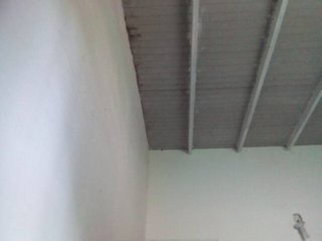 Transliacijos ekrano nuotraukos misscute