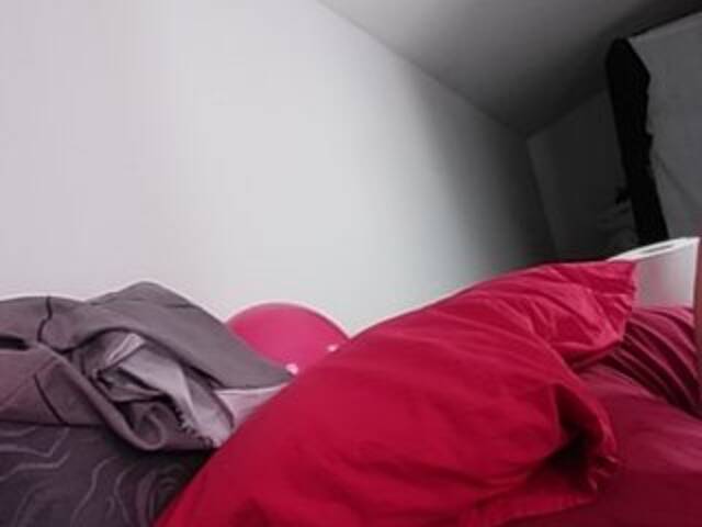 Transliacijos ekrano nuotraukos MisViolaViola