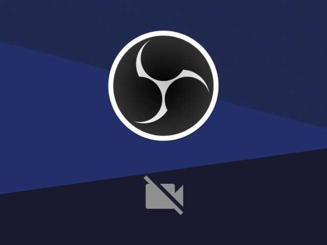 Transliacijos ekrano nuotraukos molybloom