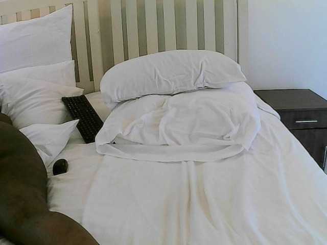 Transliacijos ekrano nuotraukos neli6266