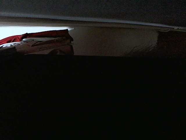 Transliacijos ekrano nuotraukos nicolcurt