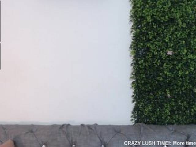 Transliacijos ekrano nuotraukos NicoleThomas