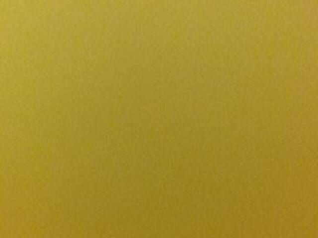 Transliacijos ekrano nuotraukos OceanyCat