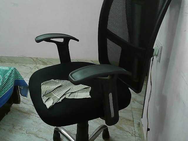 Transliacijos ekrano nuotraukos Payalx