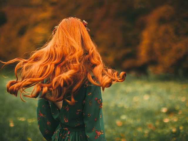 Profilio nuotrauka PureMajoora