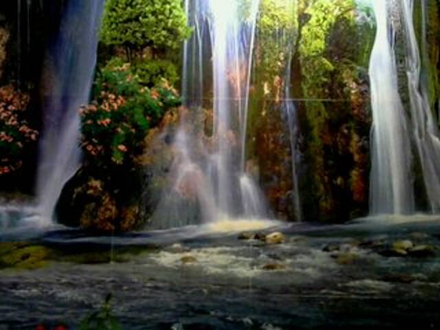 Transliacijos ekrano nuotraukos regiha