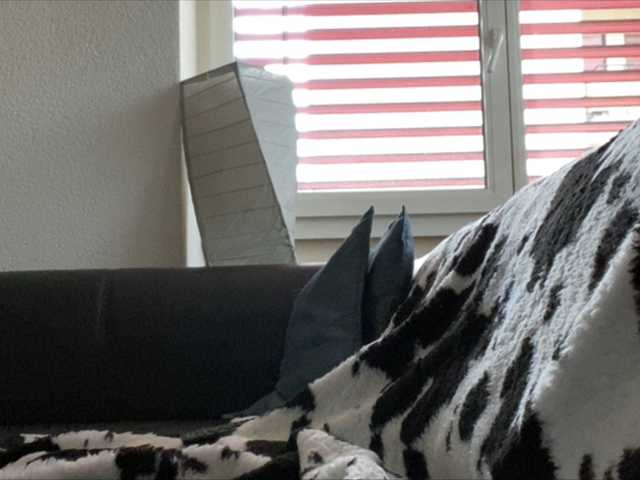 Transliacijos ekrano nuotraukos Tifffannny