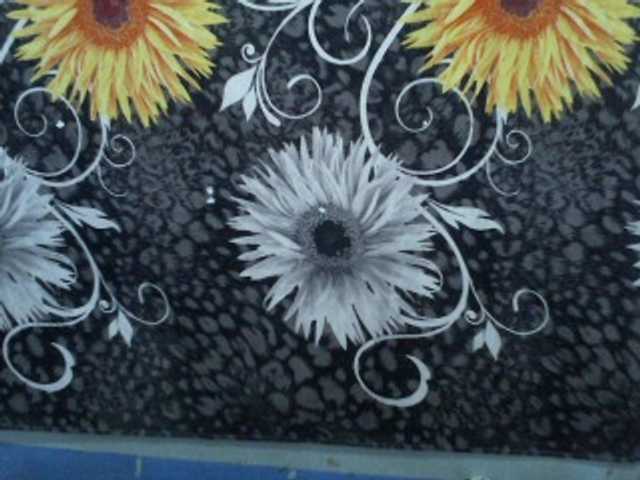 Transliacijos ekrano nuotraukos Samara4u