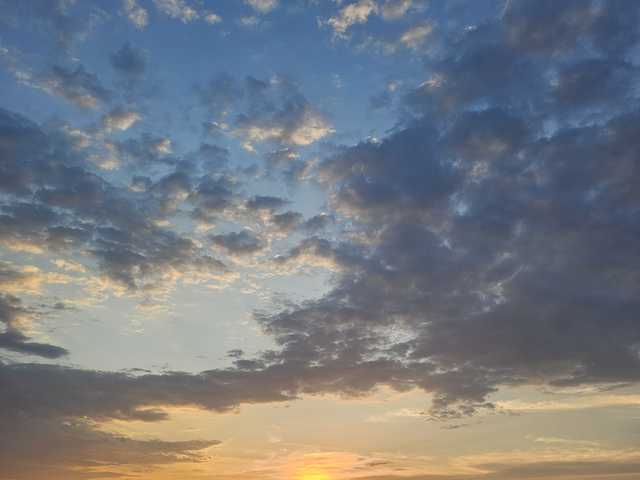 Profilio nuotrauka onehumanbeing