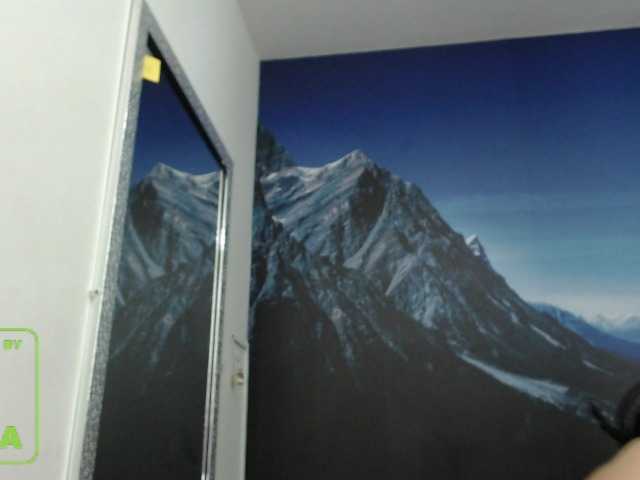 Transliacijos ekrano nuotraukos seleneh