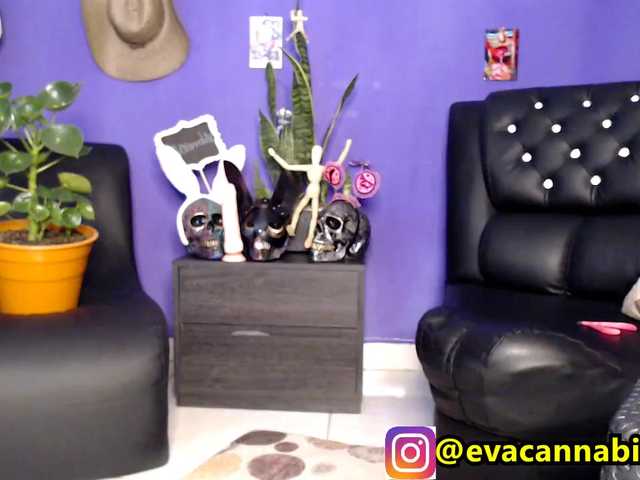 Transliacijos ekrano nuotraukos evacannabithc