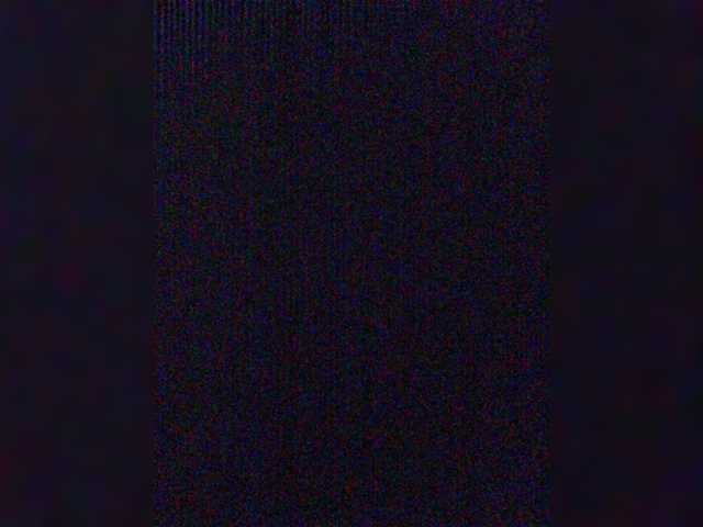 Transliacijos ekrano nuotraukos Sneghik