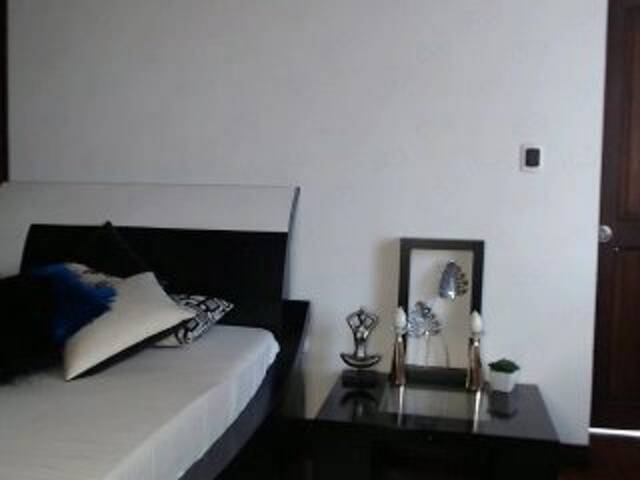 Transliacijos ekrano nuotraukos StaceyWood