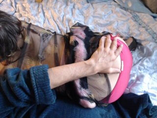 Transliacijos ekrano nuotraukos Masha_Ivanova