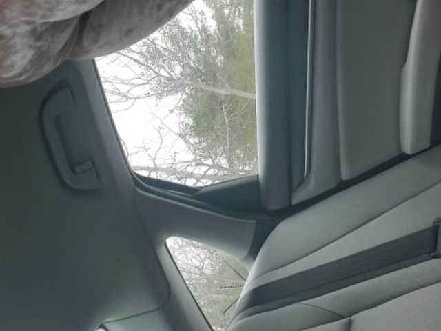 Transliacijos ekrano nuotraukos Sugarisme