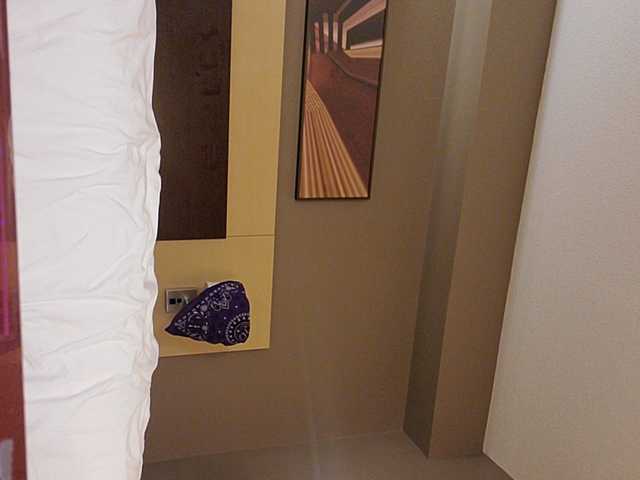 Transliacijos ekrano nuotraukos Sugarisme