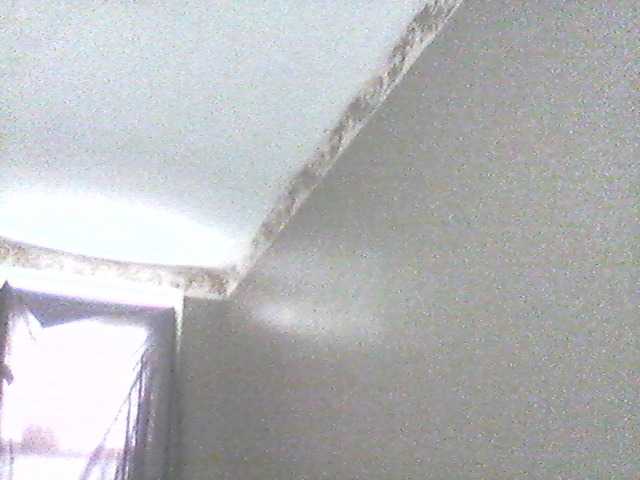 Transliacijos ekrano nuotraukos supa19kitty