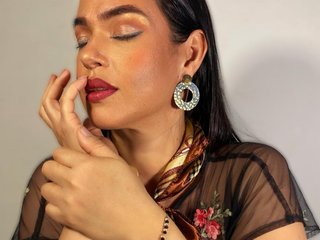 Erotinis vaizdo pokalbis talianavega