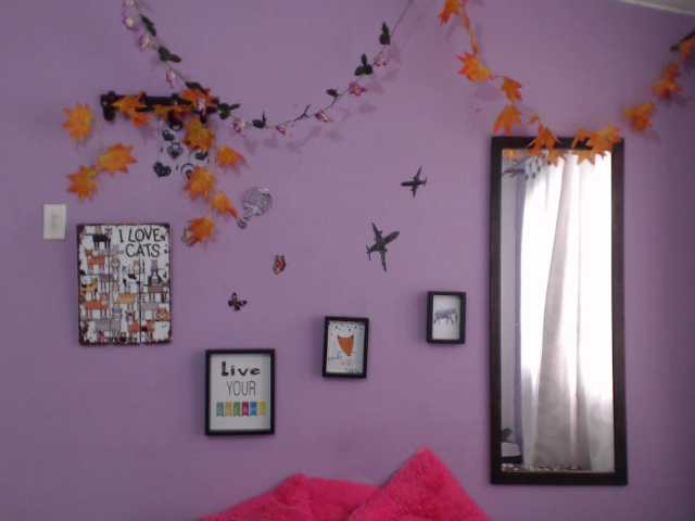 Transliacijos ekrano nuotraukos tyifani