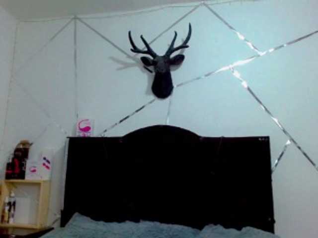 Transliacijos ekrano nuotraukos VERONICA-GS