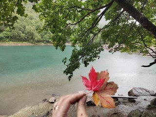 Erotinis vaizdo pokalbis _GoodGirl_