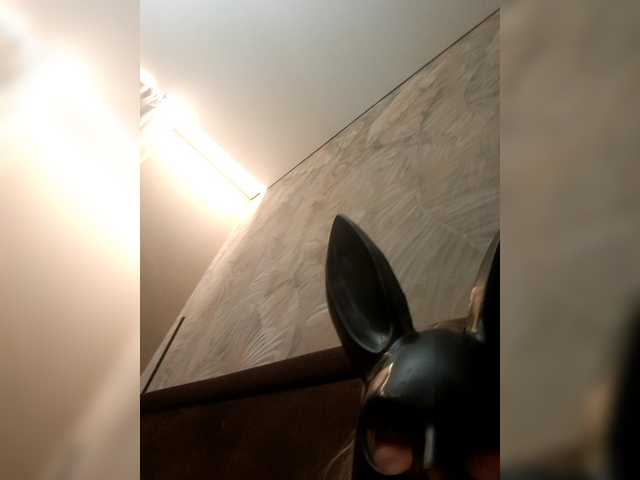 Transliacijos ekrano nuotraukos Vikysha