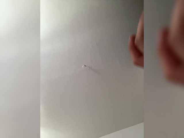 Transliacijos ekrano nuotraukos Vmeste