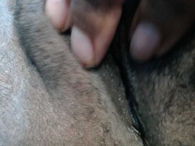 Transliacijos ekrano nuotraukos wet-kitty