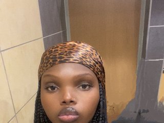 Erotinis vaizdo pokalbis Wildcata