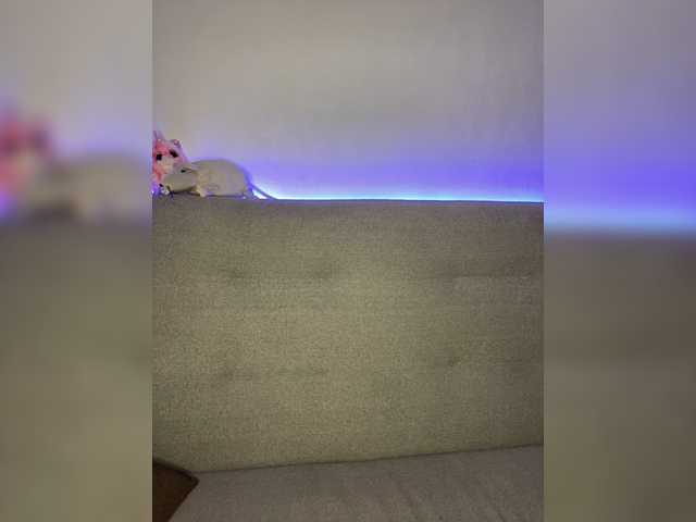 Transliacijos ekrano nuotraukos Wulka