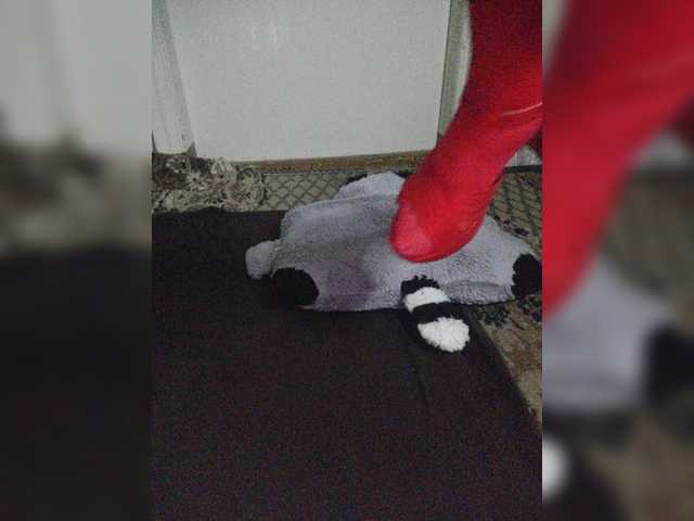Transliacijos ekrano nuotraukos yarovaya